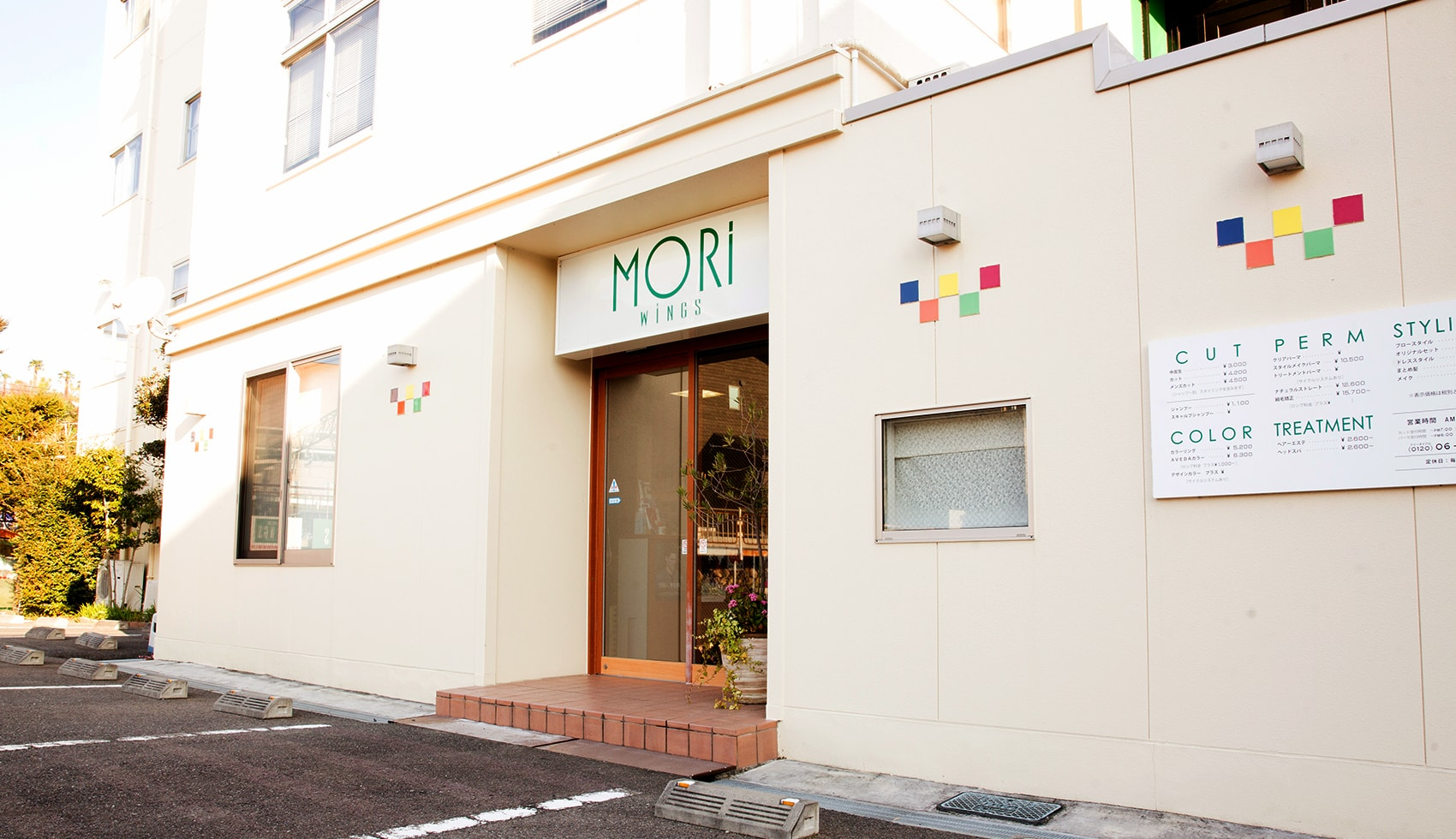MORI WINGS
